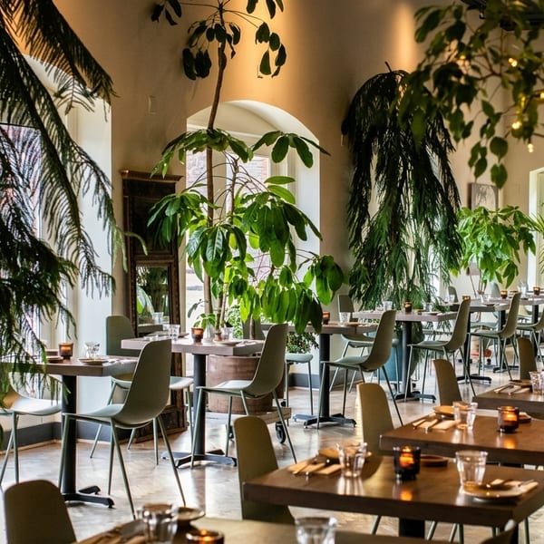 Lush, plant-filled restaurant dining room with set tables, modern chairs, and warm lighting.