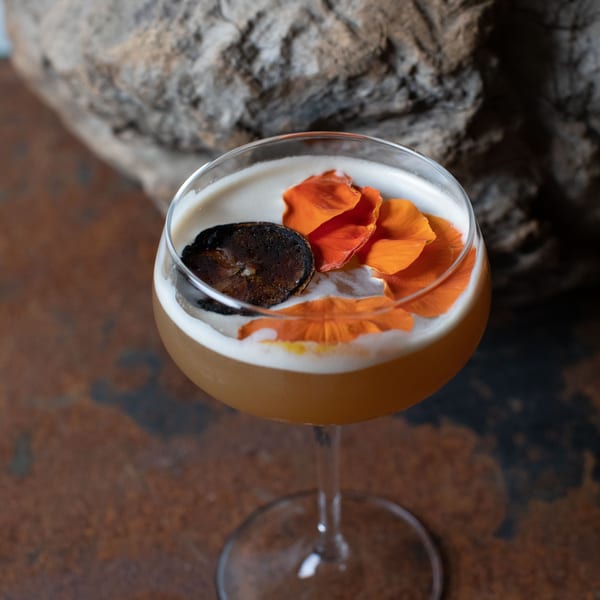 A cocktail in a coupe glass, garnished with a charred citrus slice and orange flower petals.